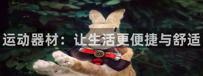 678体育官网下载平台假的吗是真的吗：运动器材：让生