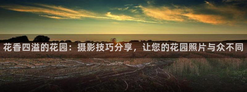678体育官网下载平台注册要钱吗：花香四溢的花园：摄影技巧分