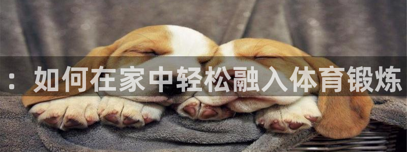 678体育官方正版app官网：：如何在家中轻松融入体育锻炼