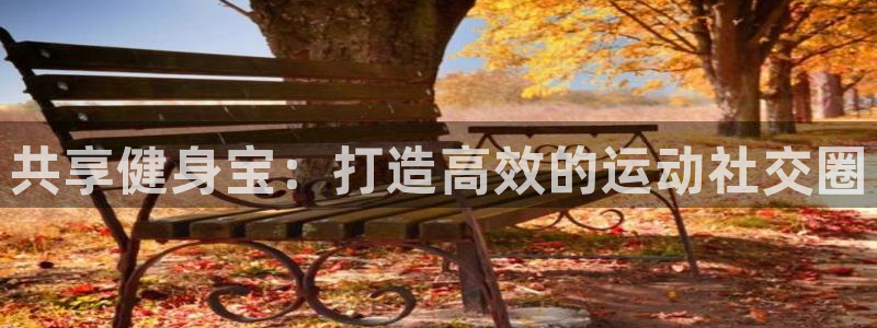 678体育官方正版app娱乐平台：共享健身宝：打造高效的运动