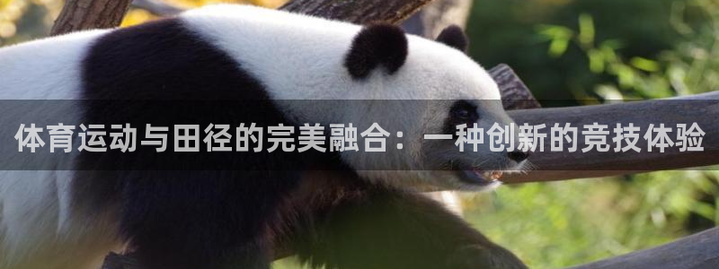 谈球吧