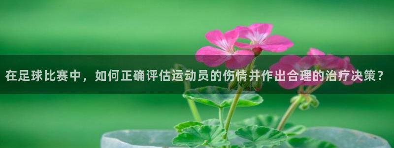 谈球吧体育官网