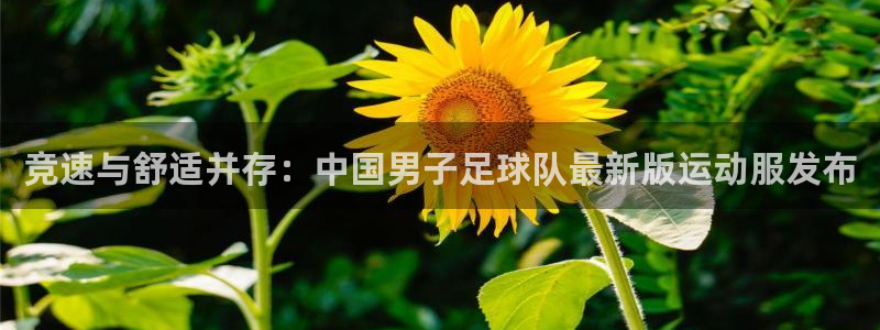 谈球吧体育