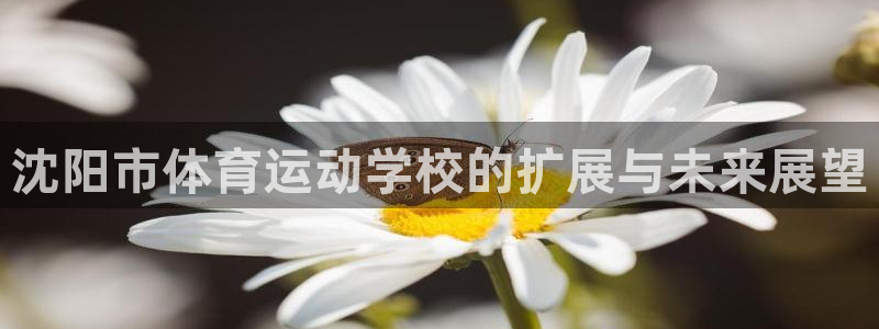谈球吧体育官网