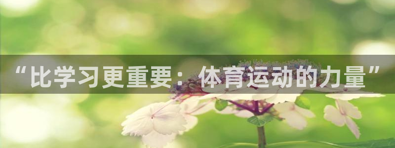 谈球吧体育官网