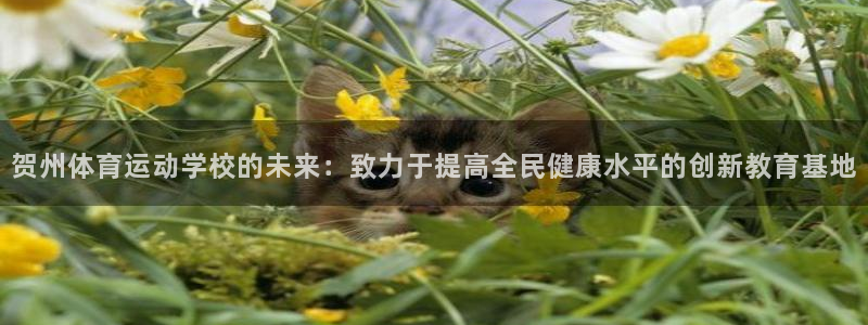 谈球吧体育