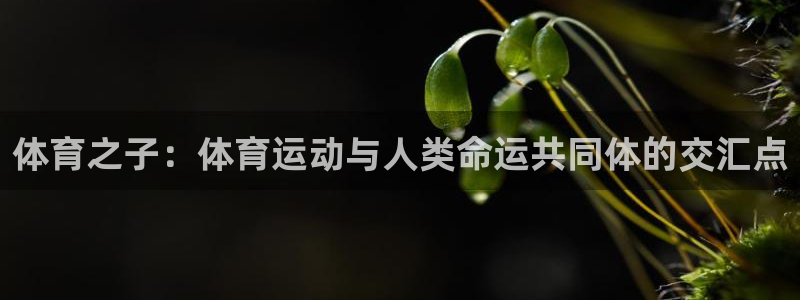 谈球吧体育官网