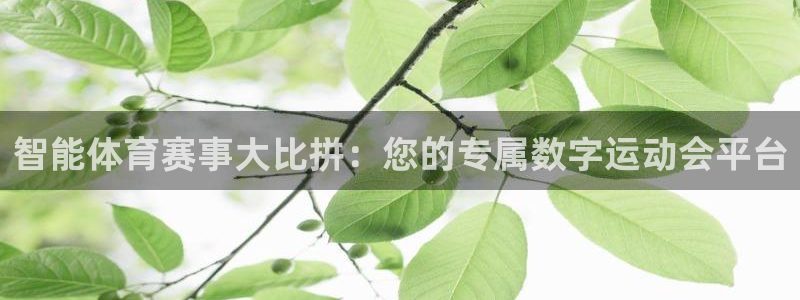 谈球吧体育