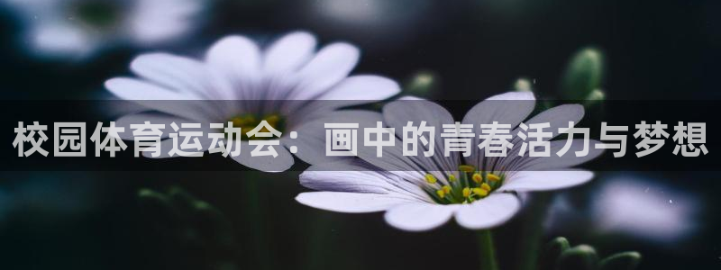 谈球吧体育官网